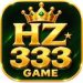 HZ333